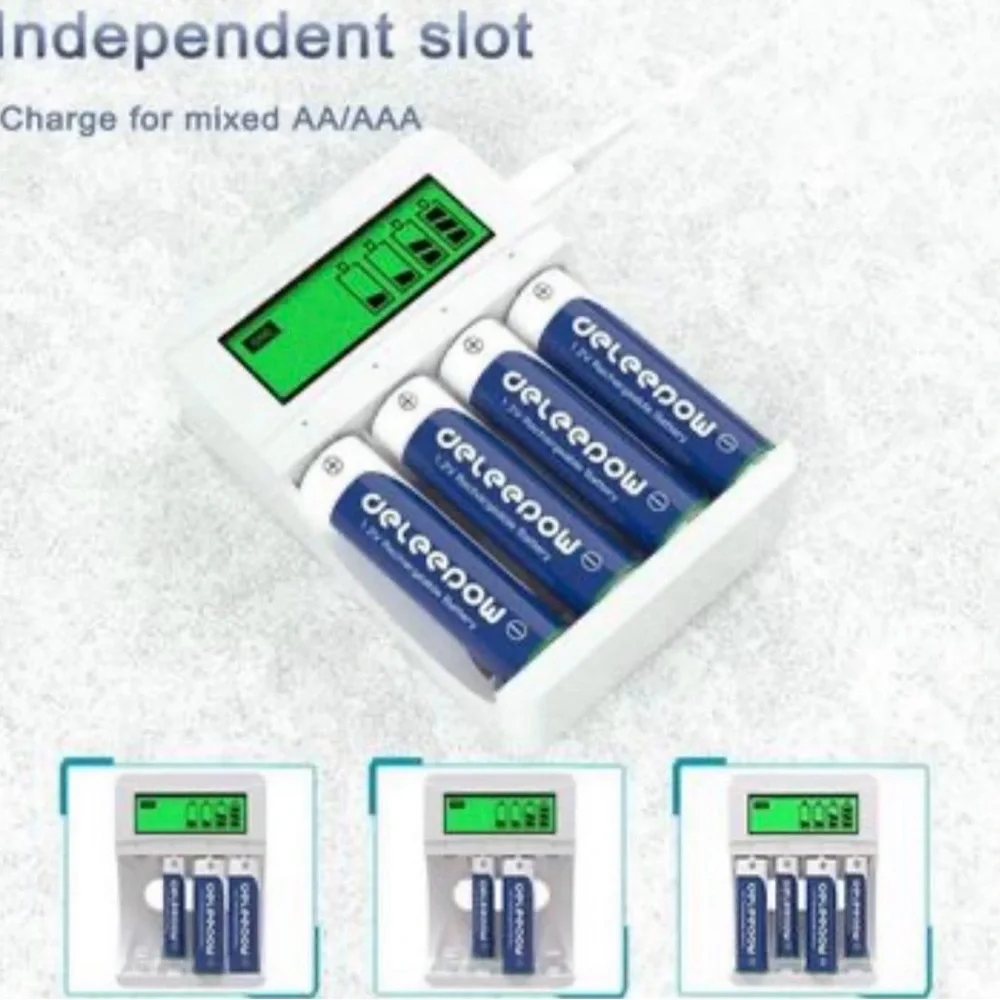 Battery Charger with Blue Rechargeable Batteries